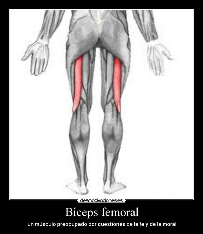 Dolor del biceps femoral