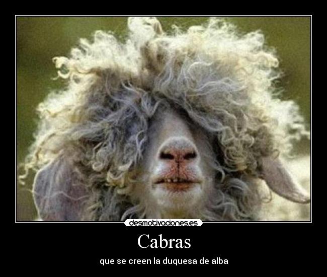 cabra_loca_pelo.jpg