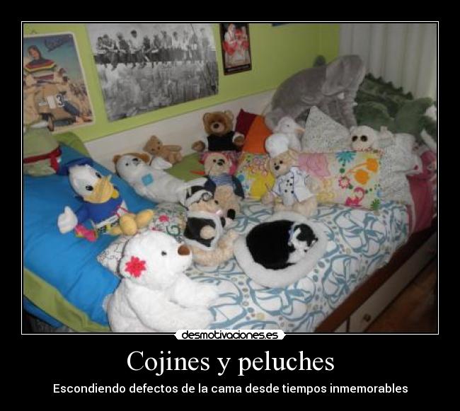 Cojines Y Peluches Desmotivaciones Cojines Y Peluches Desmotivaciones