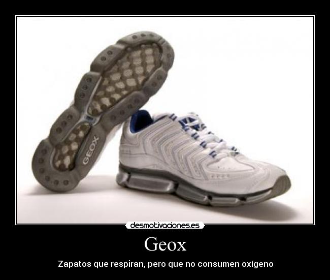 Pag De 2 Y Geox Desmotivaciones Imágenes Carteles wqpanI