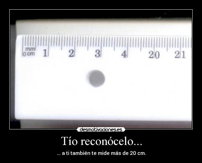 20 cm de polla