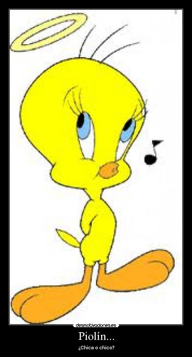 piolin es chico o chica