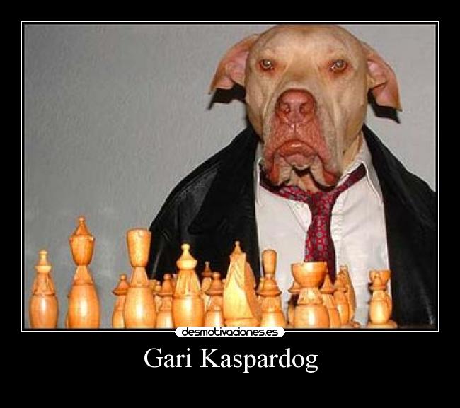 Let's. Dog saying woosh. Dogs don't play chess. Dog said. What the dog saying edward.