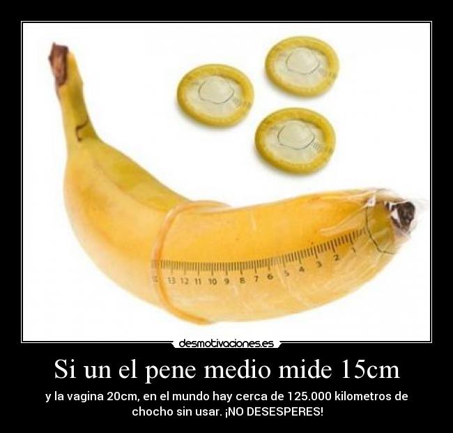 20 cm de polla