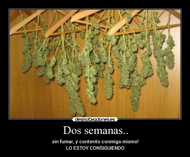 Estoy dejando de fumar porros