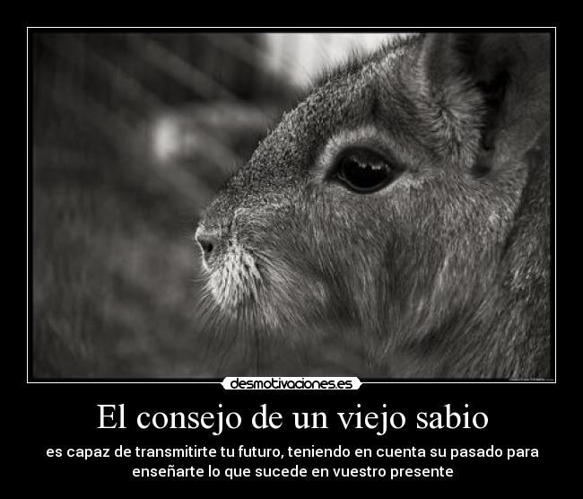 El Consejo De Un Viejo Sabio Desmotivaciones El Consejo De Un Viejo Sabio Desmotivaciones