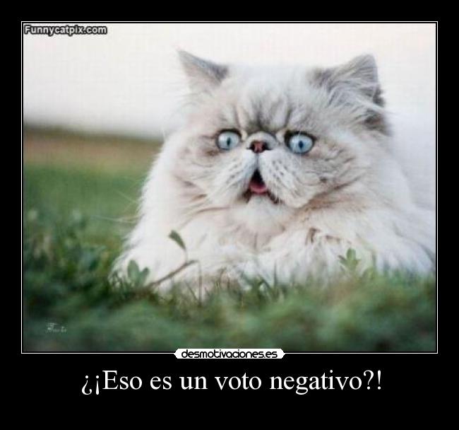 Eso Es Un Voto Negativo Desmotivaciones Eso Es Un Voto Negativo Desmotivaciones