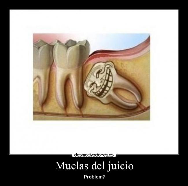dolor muela del juicio que tomar