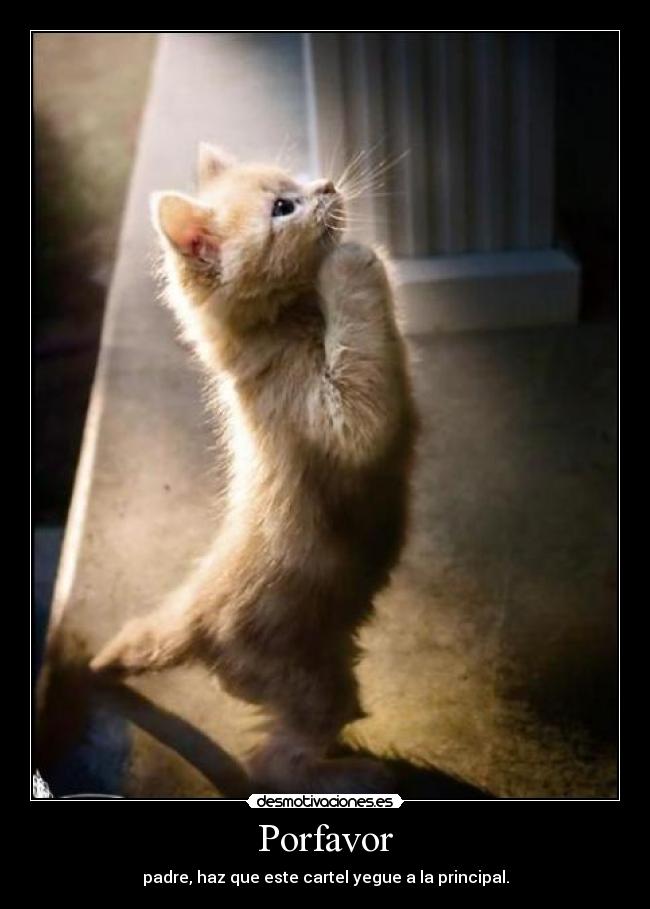 Поешь чего нибудь. Поешь чего нибудь. Картинки чего нибудь. Много мне не надо власть над миром и что-нибудь. Мне много не надо власть над миром.