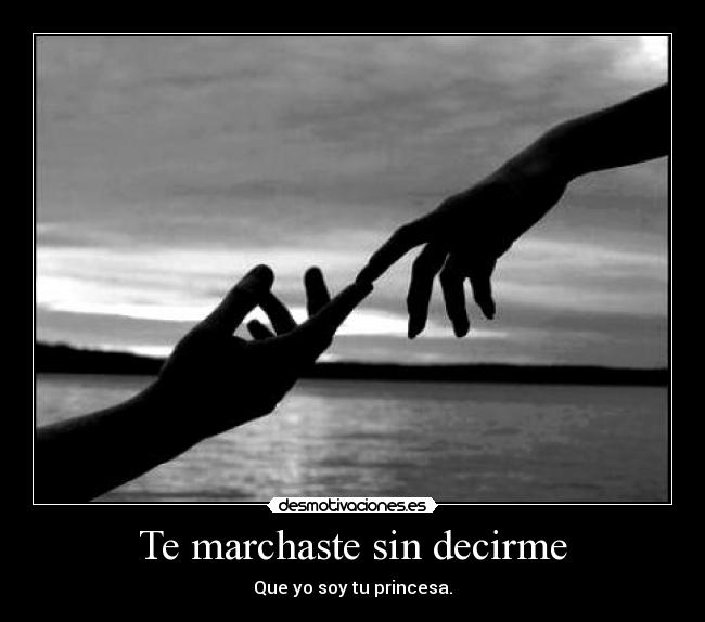 Te marchaste sin decirme  Desmotivaciones