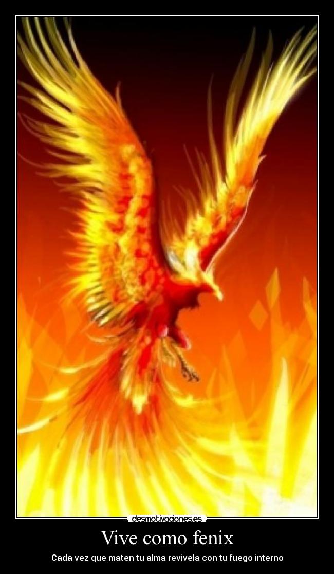 Vive como fenix | Desmotivaciones