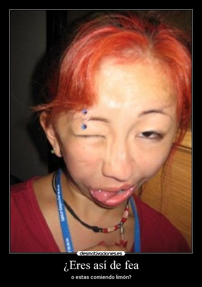 CanalTravestis