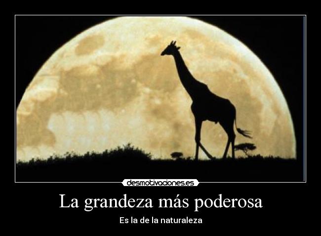cachetada con guante blanco frases