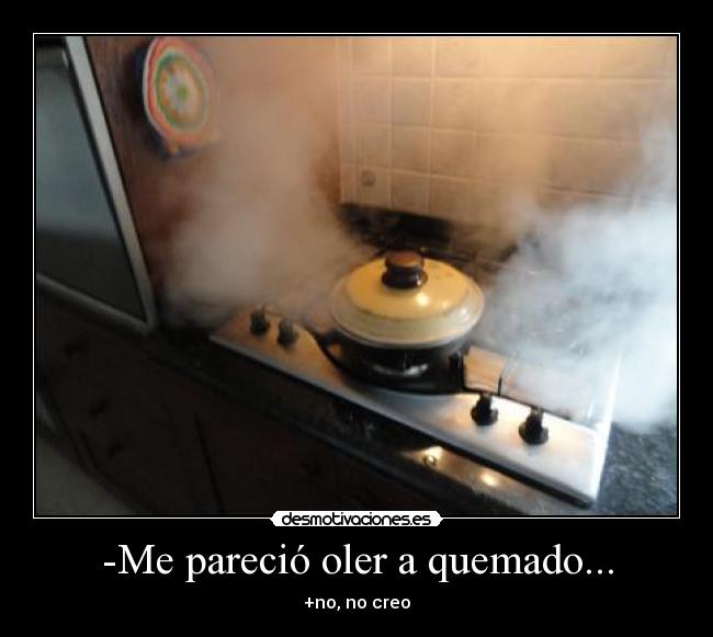 Me Parecio Oler A Quemado Desmotivaciones