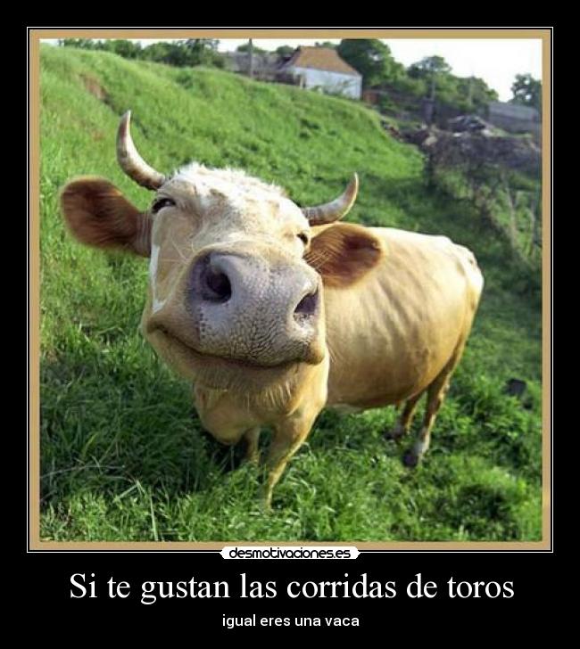 follando
