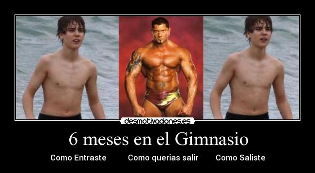 8 meses de gym
