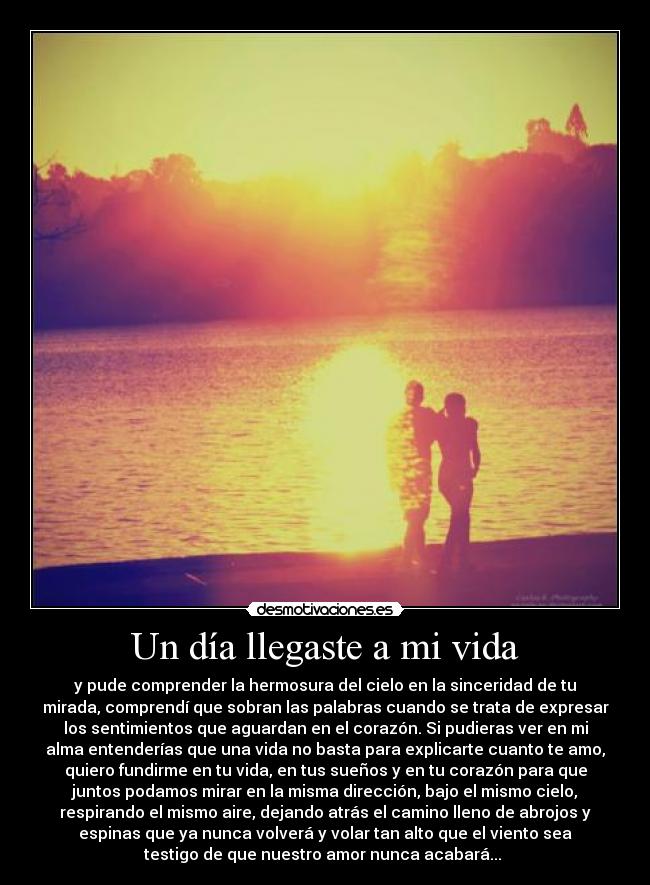 Las mejores frases para expresar cómo llegaste a mi vida Las mejores frases para expresar cómo llegaste a mi vida