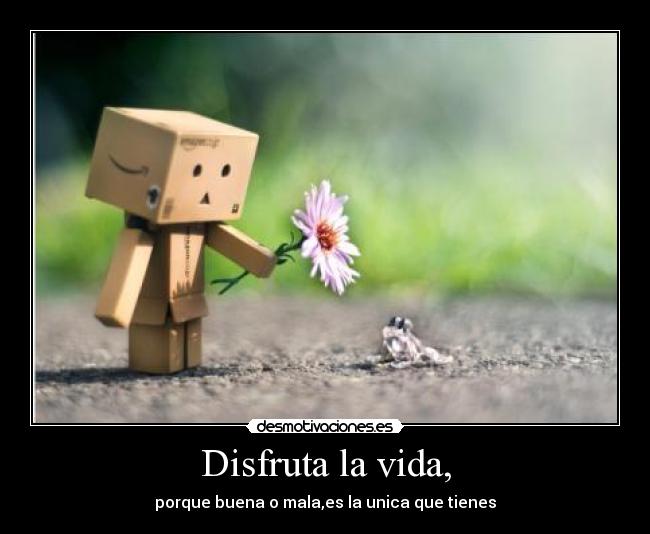 Imagen relacionada