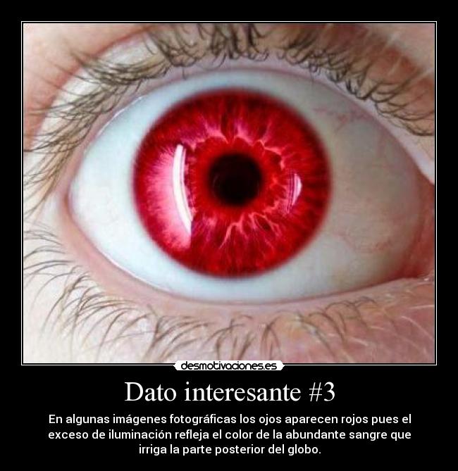 ojo rojo color sangre ojo rojo color sangre
