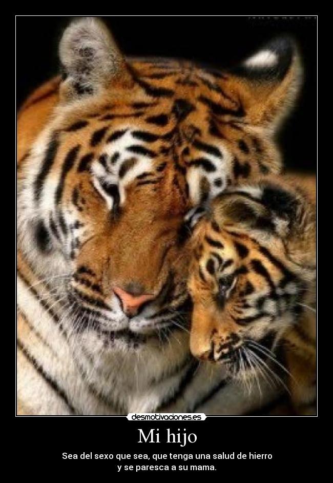 http://img.desmotivaciones.es/201112/madre_e_hijo_240.jpg