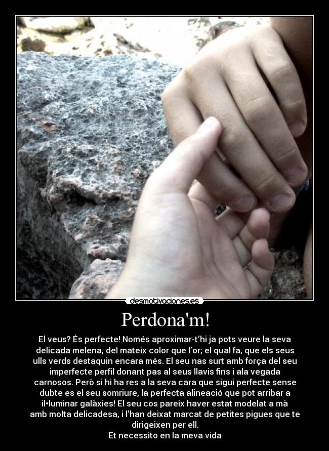 80 Perdon Imagenes Y Frases Para Pedir Disculpas A Tu Pareja 75 Frases Sobre El Perdon Maravillosas