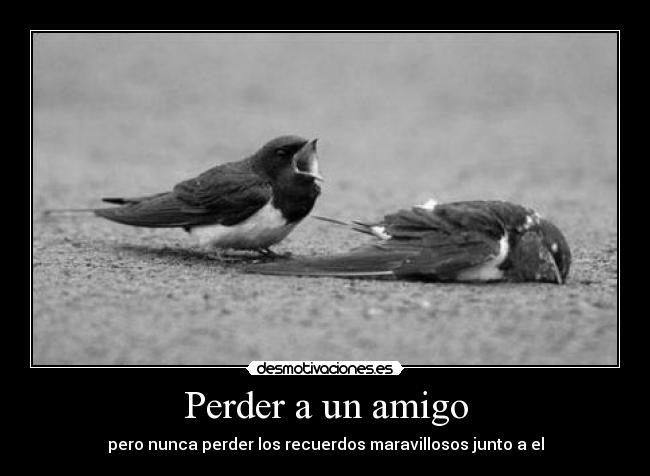 Perder a un amigo  Desmotivaciones