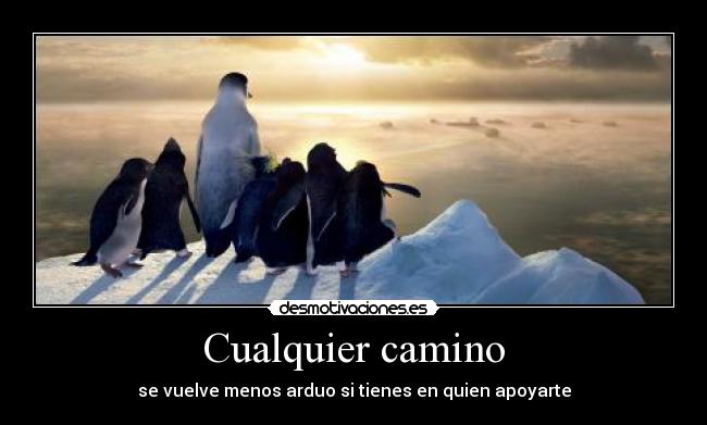 Actualizar 45+ imagem happy feet frases - br.thptnganamst.edu.vn