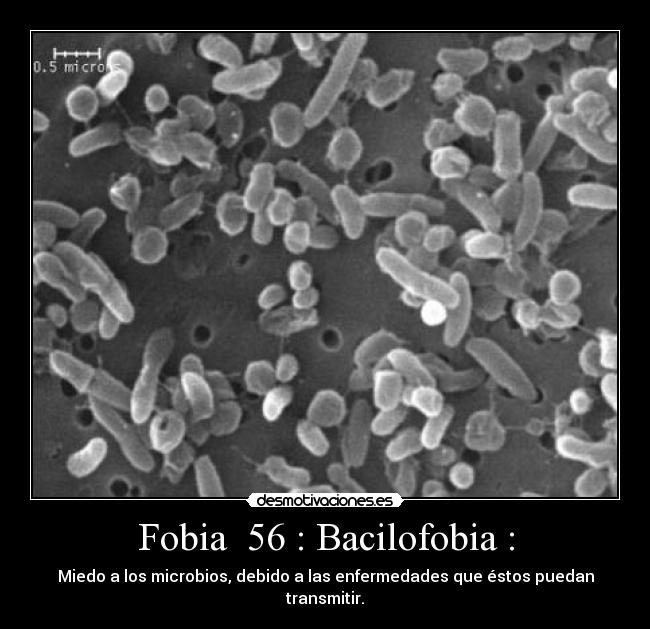 Bacilofobia miedo a que