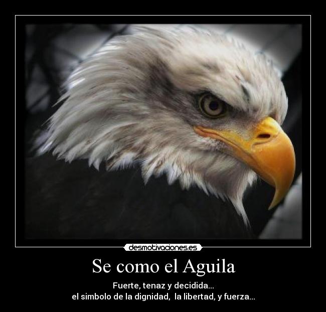 Se como el Aguila  Desmotivaciones
