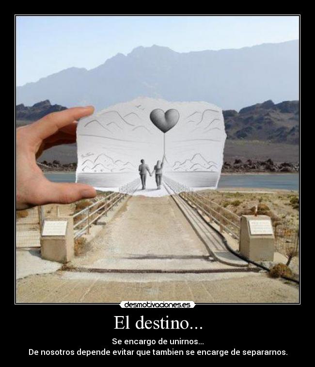Se è Destino Vi Ritroverete El destino... | Desmotivaciones