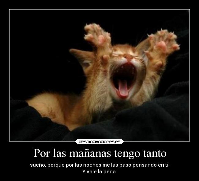 por que tengo mucho sueño