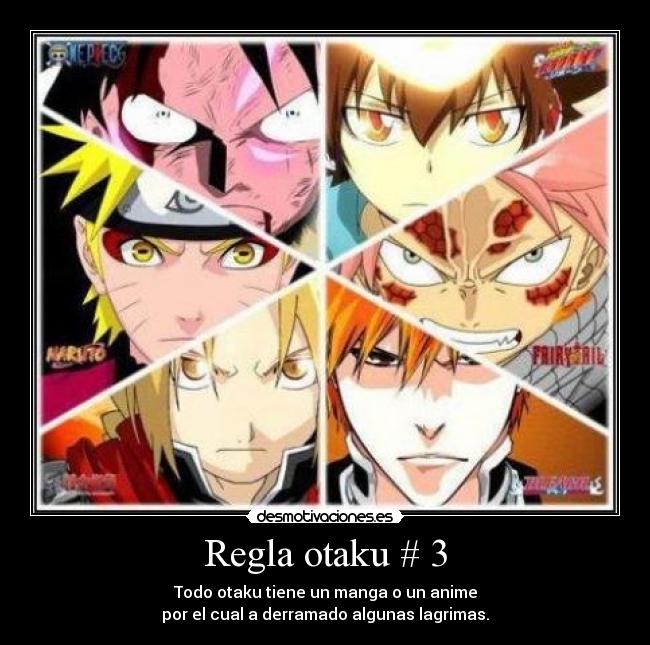 Regla otaku # 3 | Desmotivaciones