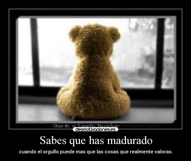 http://img.desmotivaciones.es/201206/osos_1.jpg