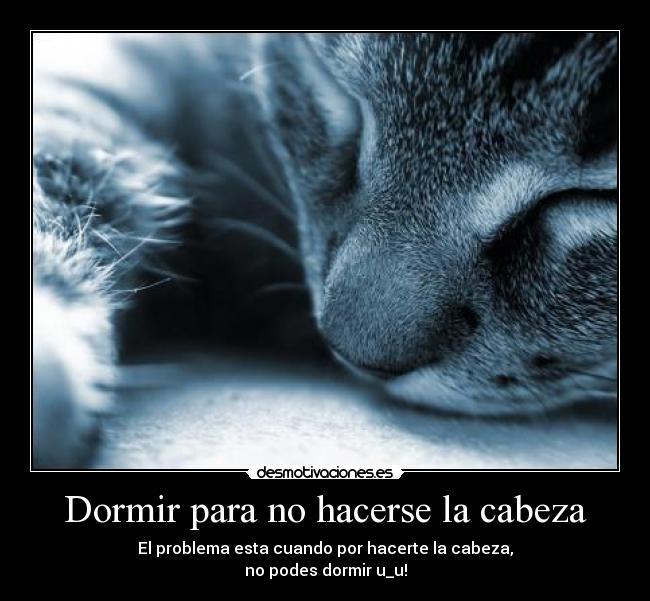 Meme de desmotivaciones.es, muestra la imagen de un gato durmiendo y debajo dice: "Dormir para no hacerse la cabeza, el problema es cuando por hacerte la cabeza no puedes dormir u_u"