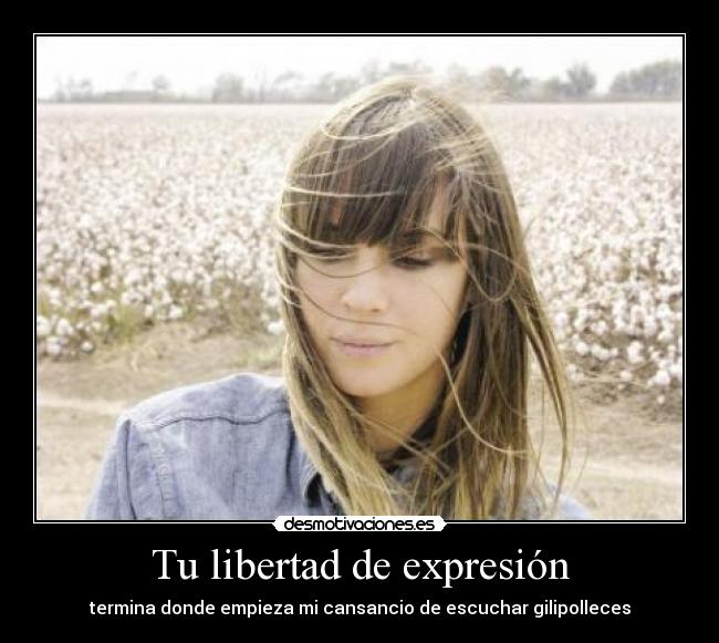 carteles libertad janiscebrian desmotivaciones