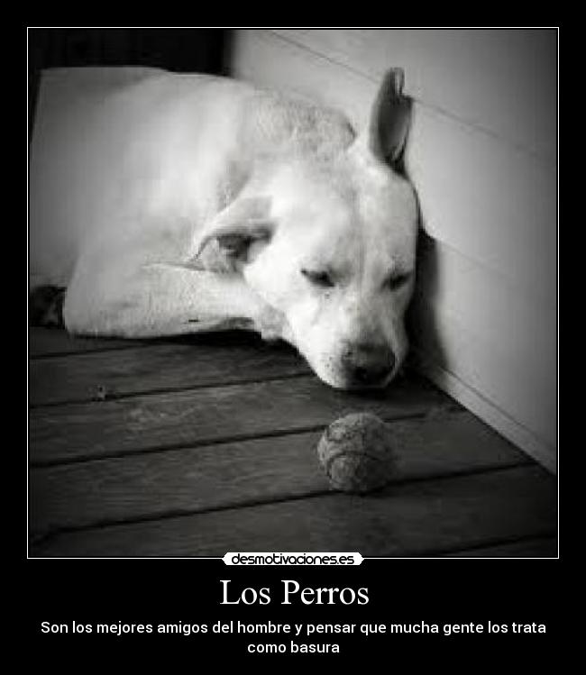 Resultado de imagen de desmotivaciones.com"