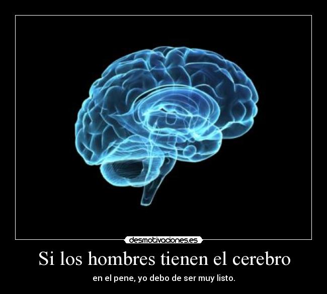 cerebro del pene
