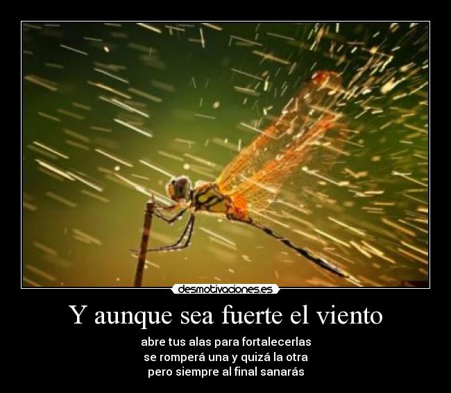 Y aunque sea fuerte el viento  Desmotivaciones