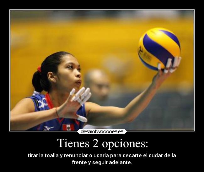 cosas de volleyball