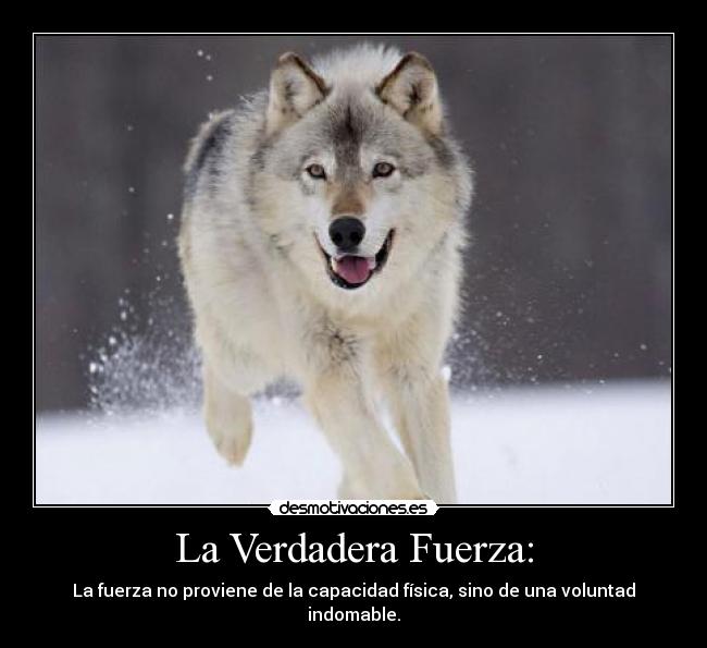 Como hacer fuerza de voluntad