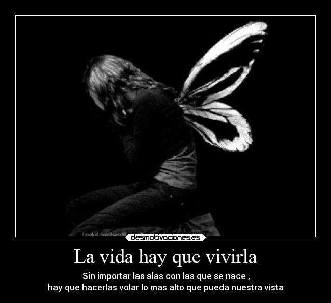 La Vida Hay Que Vivirla Desmotivaciones La Vida Hay Que Vivirla Desmotivaciones