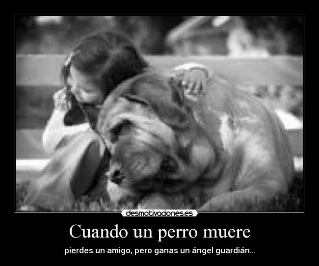QUE PASA CUANDO MUERE UN PERRO
