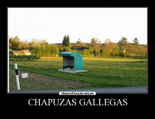 Imágenes y Carteles de GALLEGAS Desmotivaciones