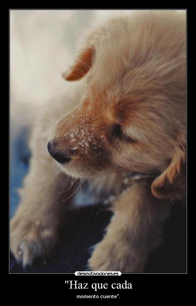 Haz Que Cada Desmotivaciones Haz Que Cada Desmotivaciones
