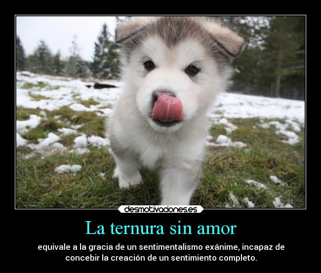 La Ternura Sin Amor Desmotivaciones