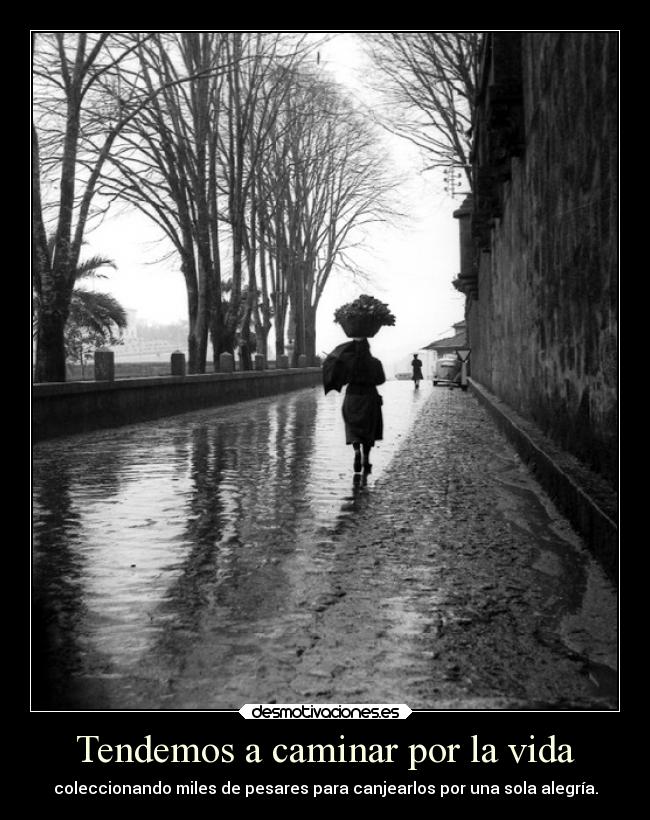 Tendemos a caminar por la vida | Desmotivaciones