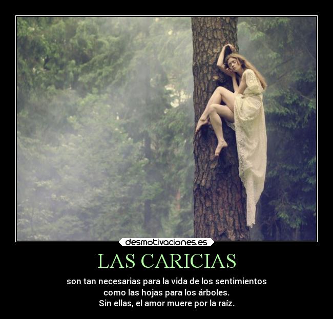 Las Caricias Desmotivaciones Las Caricias Desmotivaciones