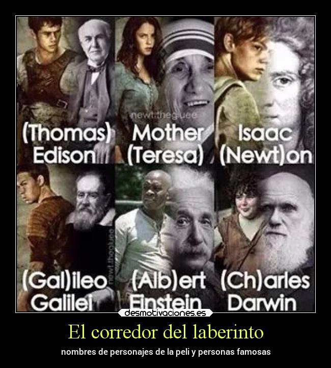 Resultado de imagen para frases de el corredor del laberinto