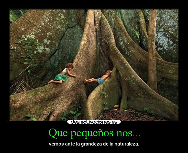 Imagen relacionada