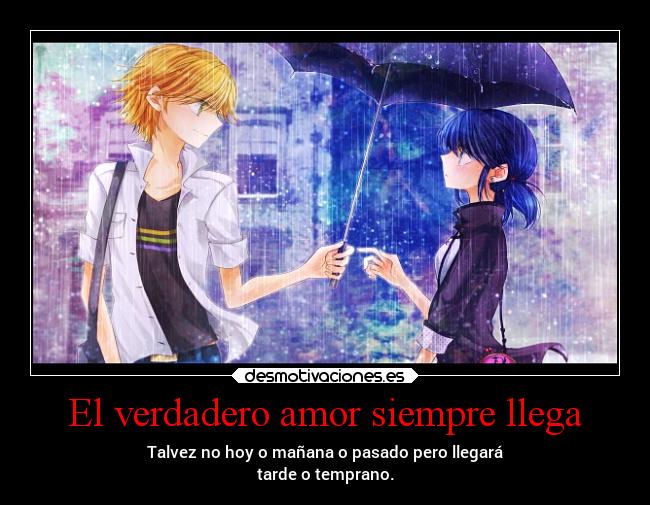 Imágenes Y Carteles De Ladybug Pag 3 Desmotivaciones